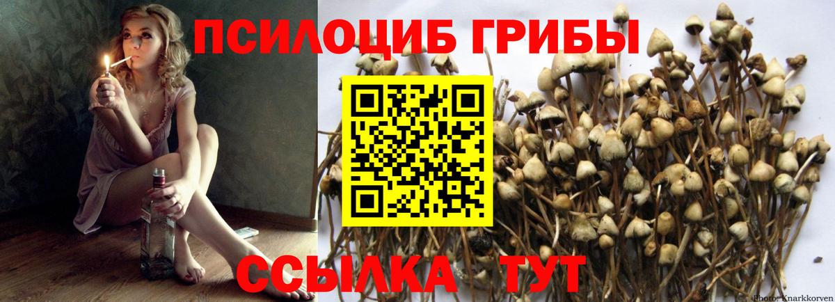 Псилоцибиновые грибы мухоморы Тайшет