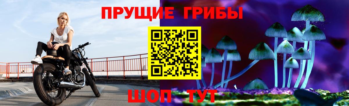 Тайшет  Псилоцибиновые грибы мицелий  Вход с VPN 